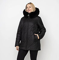 Жіноча зимова куртка з капюшоном Li-169 в розмірах 48-62