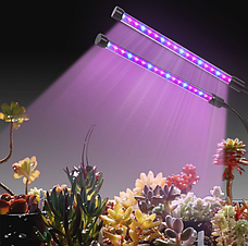 Фітолампи для рослин