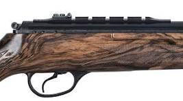  Як вибрати пневматичну гвинтівку для початківців: повний гід від виробника