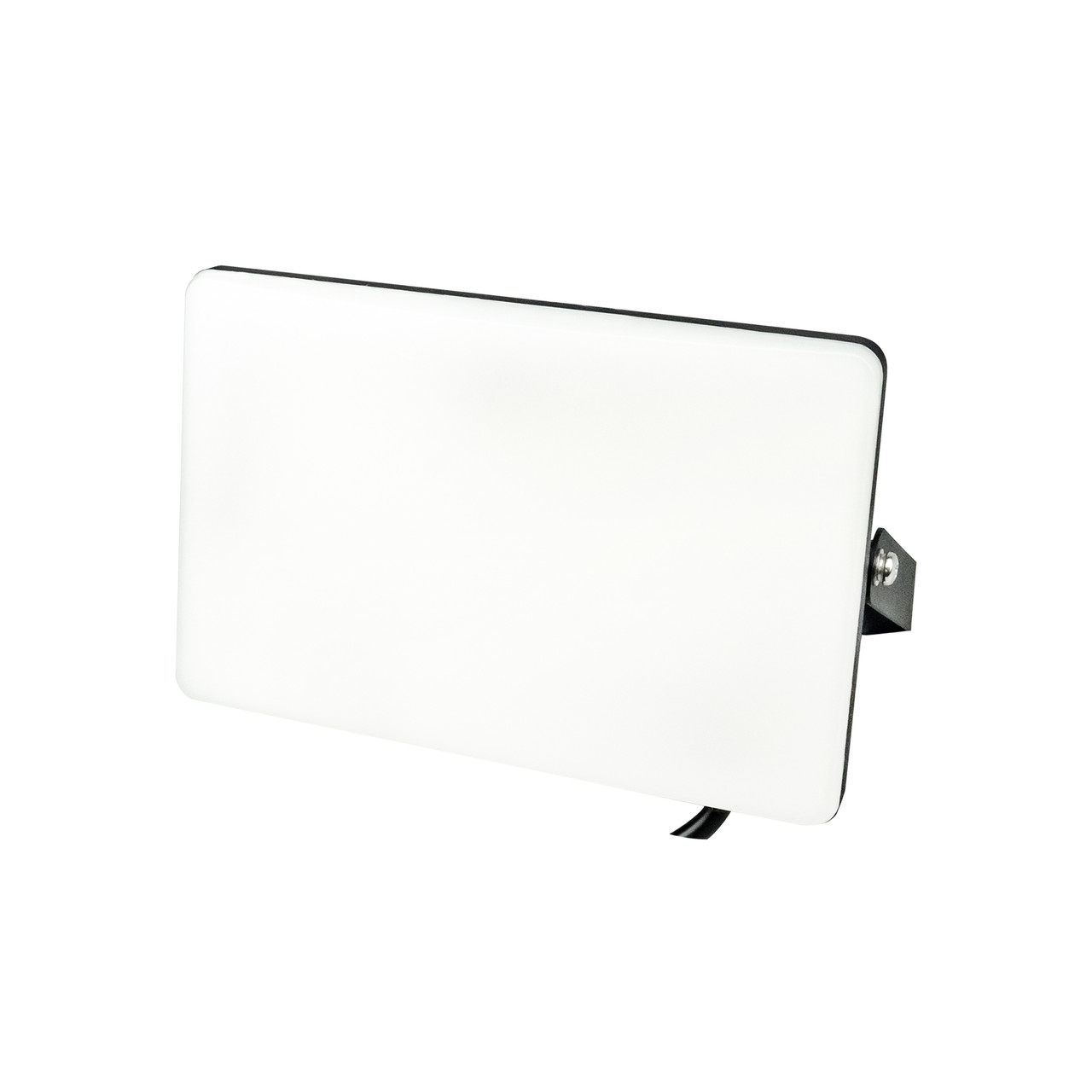 Прожектор світлодіодний "PEGASUS-50" 50 W 6400 K, фото 1