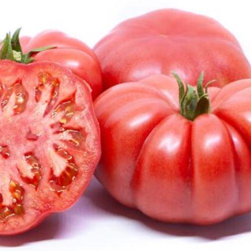 Насіння томатів Рим 20 шт (zip)