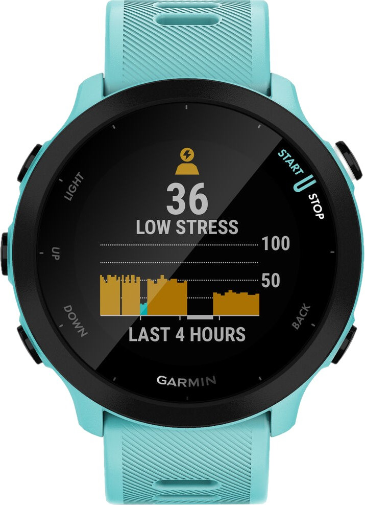 Смарт-годинник Garmin Forerunner 55 Aqua (010-02562-12/02)