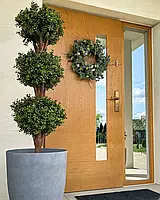 Буксус декоративний у горщику BUXUS BALL TREE 120 см, зелена рослина