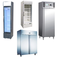 Шафи холодильні та морозильні професійні