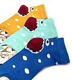Шкарпетки дитячі стрейч "Монстрик" 16 р. (12 пар!) (Весна/літо) Варос, фото 3