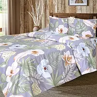 Комплект постельного белья ранфорс R161 от производителя Ярослав Украина