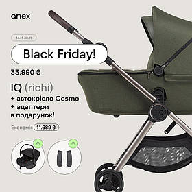 Універсальна коляска Anex IQ Premium, Richi