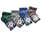 Шкарпетки дитячі Auto літні/сітка 14 р. (12 пар!) (Варос), фото 2