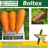 Морква Болтекс / Boltex, HM. Clause (Франція), 500 грамів, фото 2