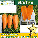 Морква Болтекс / Boltex, HM. Clause (Франція), 500 грамів, фото 3