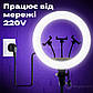 Кільцева лампа 45 см HQ-18N зі штативом на 2 м для лампи для селфі лампа для тик току, фото 3