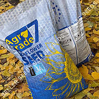 Соняшник Каскара (стійкий до вовчка 7+ рас, фракція Екстра 10кг) 2025 рік