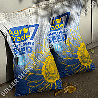 Соняшник Ласса (фракція Стандарт 8кг) Врожай 2025 року, Стійкий до Євролайтнінг