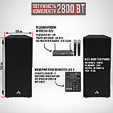 Акустичний комплект SET215A (2800 Вт.), фото 2