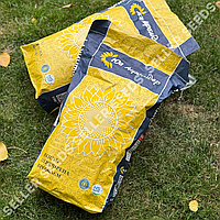 Насіння соняшника НСХ 8005 Під Гранстар