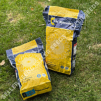 Насіння соняшника НС Х 6045 Під Євролайтнінг