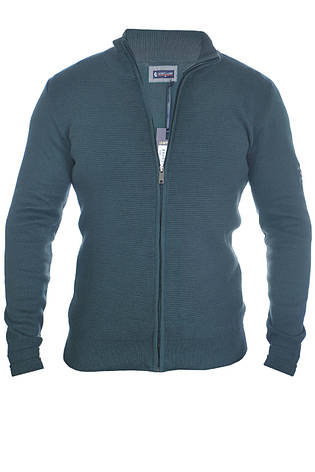 Кофта чоловіча Le Gutti 25-870-49 темно-зелена, фото 1