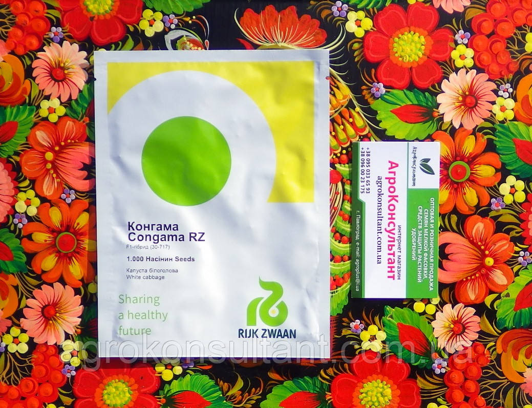 Насіння капусти Конгама F1 (Rijk Zwaan), 1 000 насінин — середньостигла (95-120 днів), білокачанна