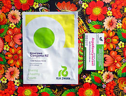 Насіння капусти Конгама F1 (Rijk Zwaan), 1 000 насінин — середньостигла (95-120 днів), білокачанна