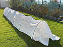 Парник 6 м (щільність 42г/м2), фото 7