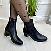 Жіночі черевики на невисоких підборах, натуральна шкіра, фото 6
