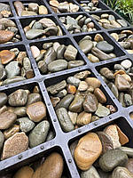 Георешітка INOVGREEN EL40 (HL40) Польща для автостоянок та доріг з ПДВ та без