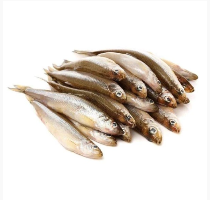 Корюшка аргентинська свіжоморожена, 20 см+, фото 1
