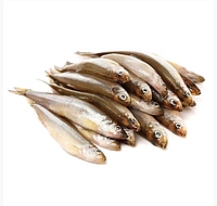 Корюшка аргентинська свіжоморожена, 20 см+