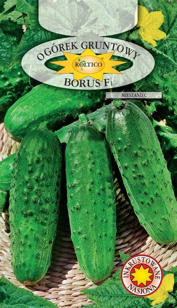Насіння огірка Борус F1 5г (інкруст.) ТМ ROLTICO