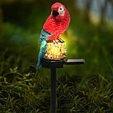 2шт Садова сонячна лампа "Папуга" SuperLED — LED-підсвітка на штифті з датчиком сутінок, висота 41 см, фото 4