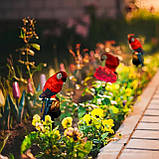 2шт Садова сонячна лампа "Папуга" SuperLED — LED-підсвітка на штифті з датчиком сутінок, висота 41 см, фото 6