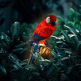 2шт Садова сонячна лампа "Папуга" SuperLED — LED-підсвітка на штифті з датчиком сутінок, висота 41 см, фото 7