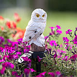 2шт Садова декоративна сонячна лампа-сова LED з датчиком сутінків, серії Noka, тепле світло 3000 K, IP44, фото 6