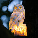 2шт Садова декоративна сонячна лампа-сова LED з датчиком сутінків, серії Noka, тепле світло 3000 K, IP44, фото 7