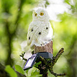 Набір 4шт Садова декоративна сонячна лампа-сова LED з датчиком сутінків, серії Noka, тепле світло 3000 K, IP44, фото 2