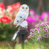 Набір 4шт Садова декоративна сонячна лампа-сова LED з датчиком сутінків, серії Noka, тепле світло 3000 K, IP44, фото 5