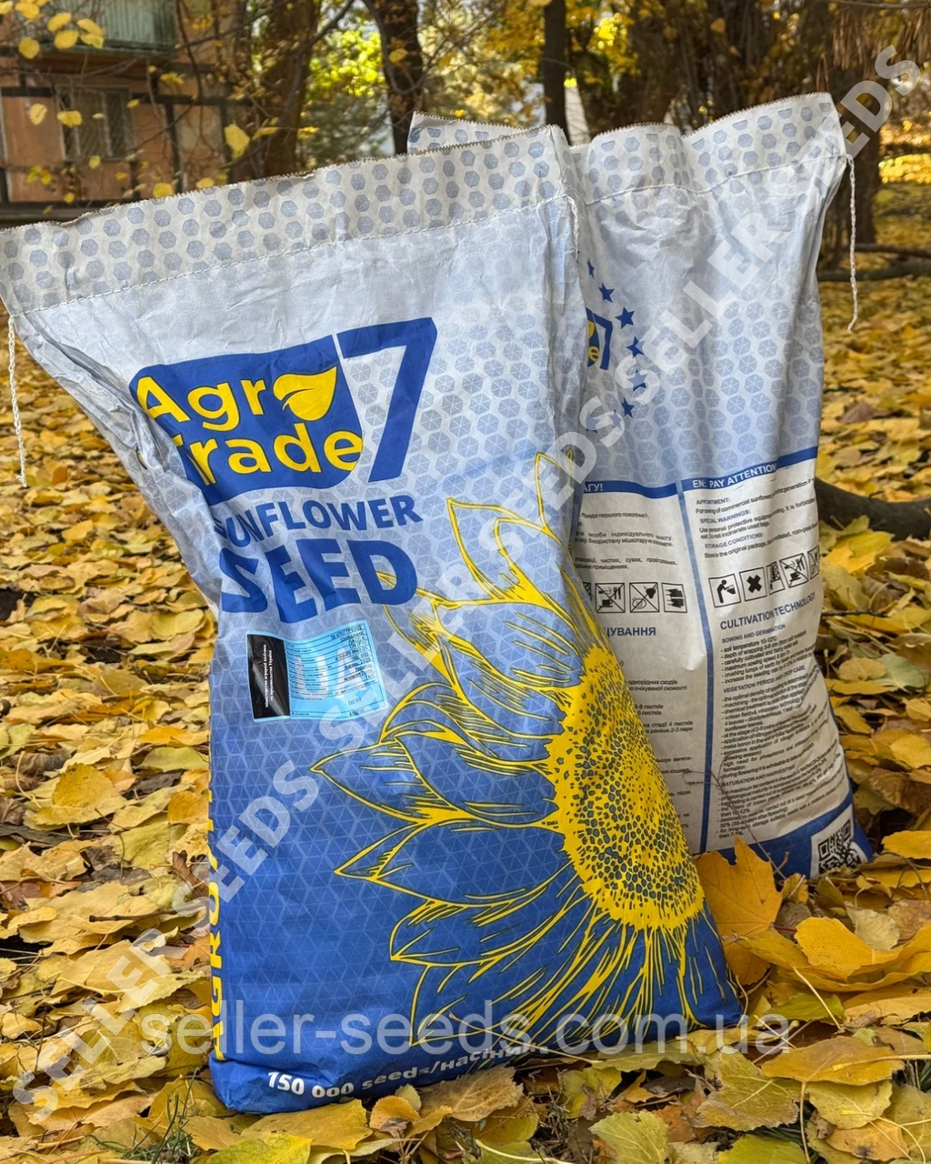 Насіння соняшника Набаро (Стійкий до вовчка  7+ рас), фото 1