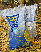 Насіння соняшника Набаро (Стійкий до вовчка  7+ рас)