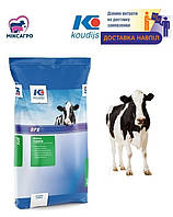 Концентрат для відгодівлі ВРХ 30% (від 100кг) Коудайс Україна (25кг) 2520.300