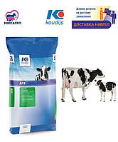 Концентрат (БМВД) 10% для лактуючих корів (25кг) (для підняття надою) Коудайс Україна 2320.100 (7074)