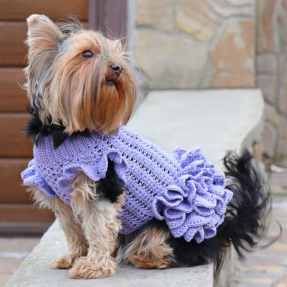 СУКНЯ ДЛЯ СОБАЧКИ, Майстер-клас із в'язання (рівень середній), фото 1