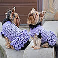 СУКНЯ ДЛЯ СОБАЧКИ, Майстер-клас із в'язання (рівень середній), фото 2