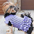 СУКНЯ ДЛЯ СОБАЧКИ, Майстер-клас із в'язання (рівень середній), фото 3