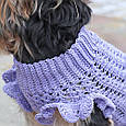 СУКНЯ ДЛЯ СОБАЧКИ, Майстер-клас із в'язання (рівень середній), фото 6