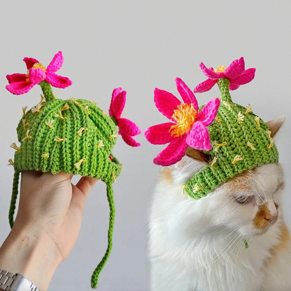 ШАПКА КАКТУС ДЛЯ КОТА, Майстер-клас із в'язання (рівень початківець), фото 1