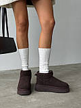 Жіночі коричневі уги, короткі замшеві уги, уги жіночі на високої підошві, коричневі замшеві уги, фото 2