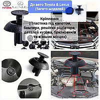 Кліпси Toyota/Lexus 7 мм. для кріплення захисту двигуна, бампера, решітки радіатора, бризковиків та ін. місцях