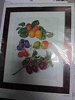 Б/У Набір для вишивання хрестиком Thea Gouverneur 3062 "ПЕРСИКИ Й СЛИВИ"