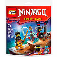 Конструктор LEGO Ninjago Арін проти Дракона: Битва (30700)