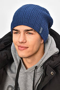 Шапка чоловіча на флісі синього кольору 208094M